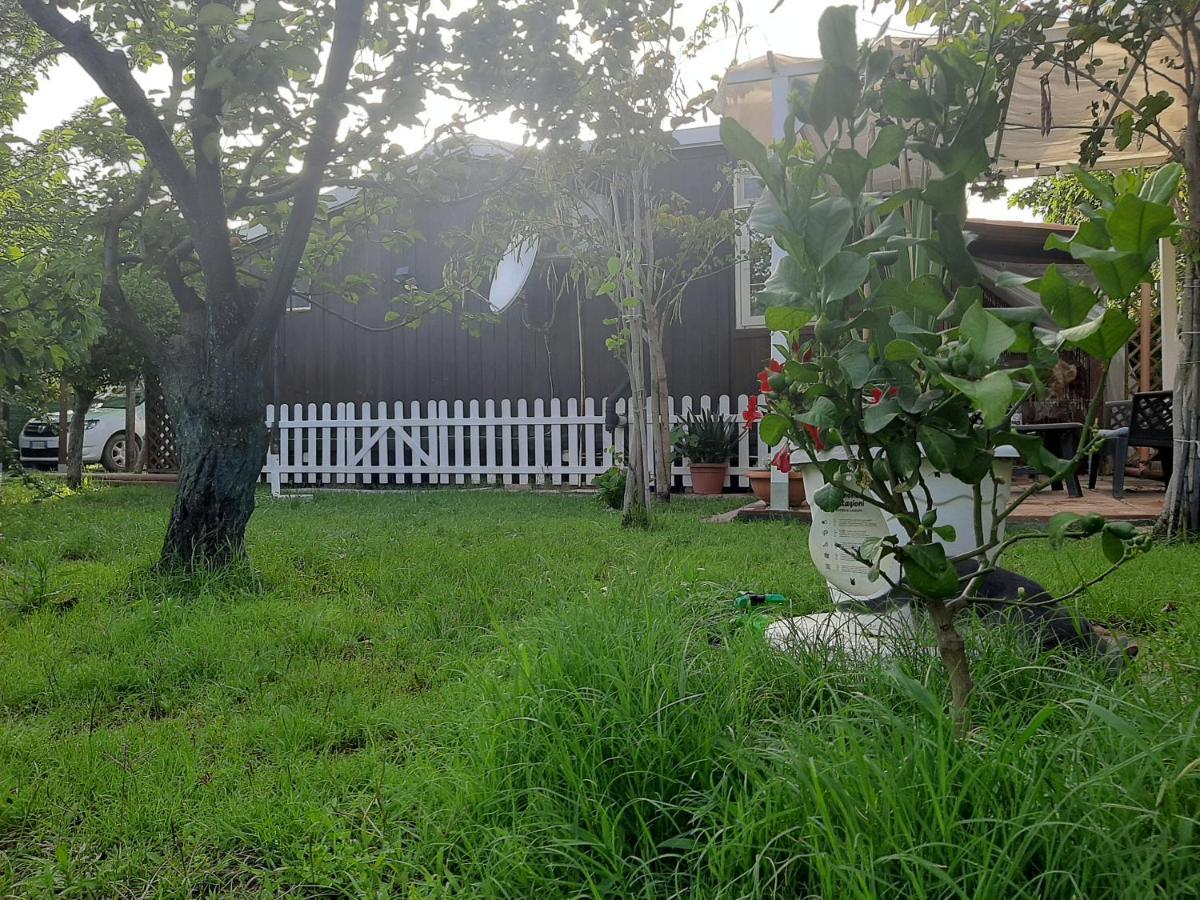 Tom E Jerry Bed & Breakfast Domus De Maria Exterior photo